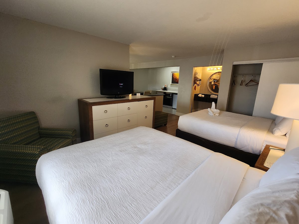 Quality Inn & Suites By the Parks — photo 3