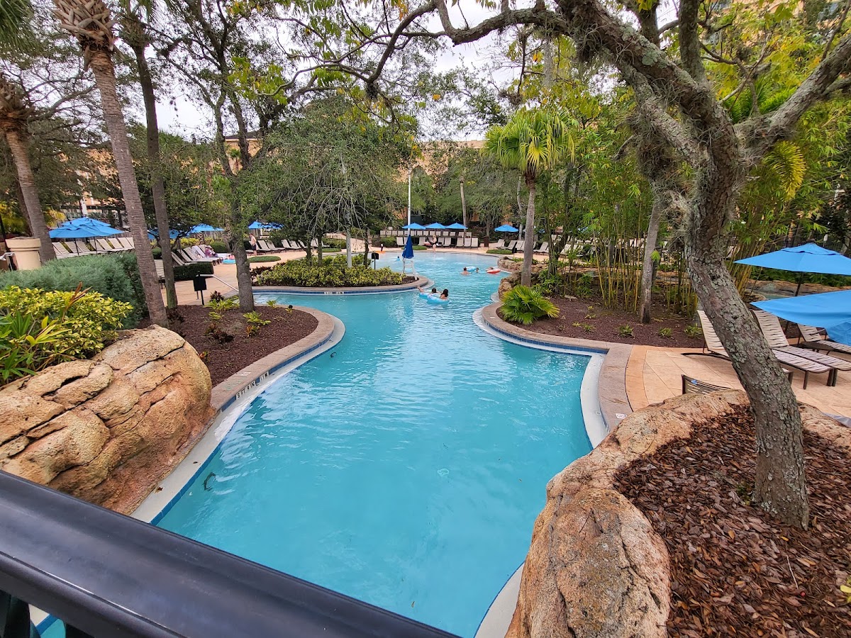 The Ritz-Carlton Orlando, Grande Lakes — photo 4