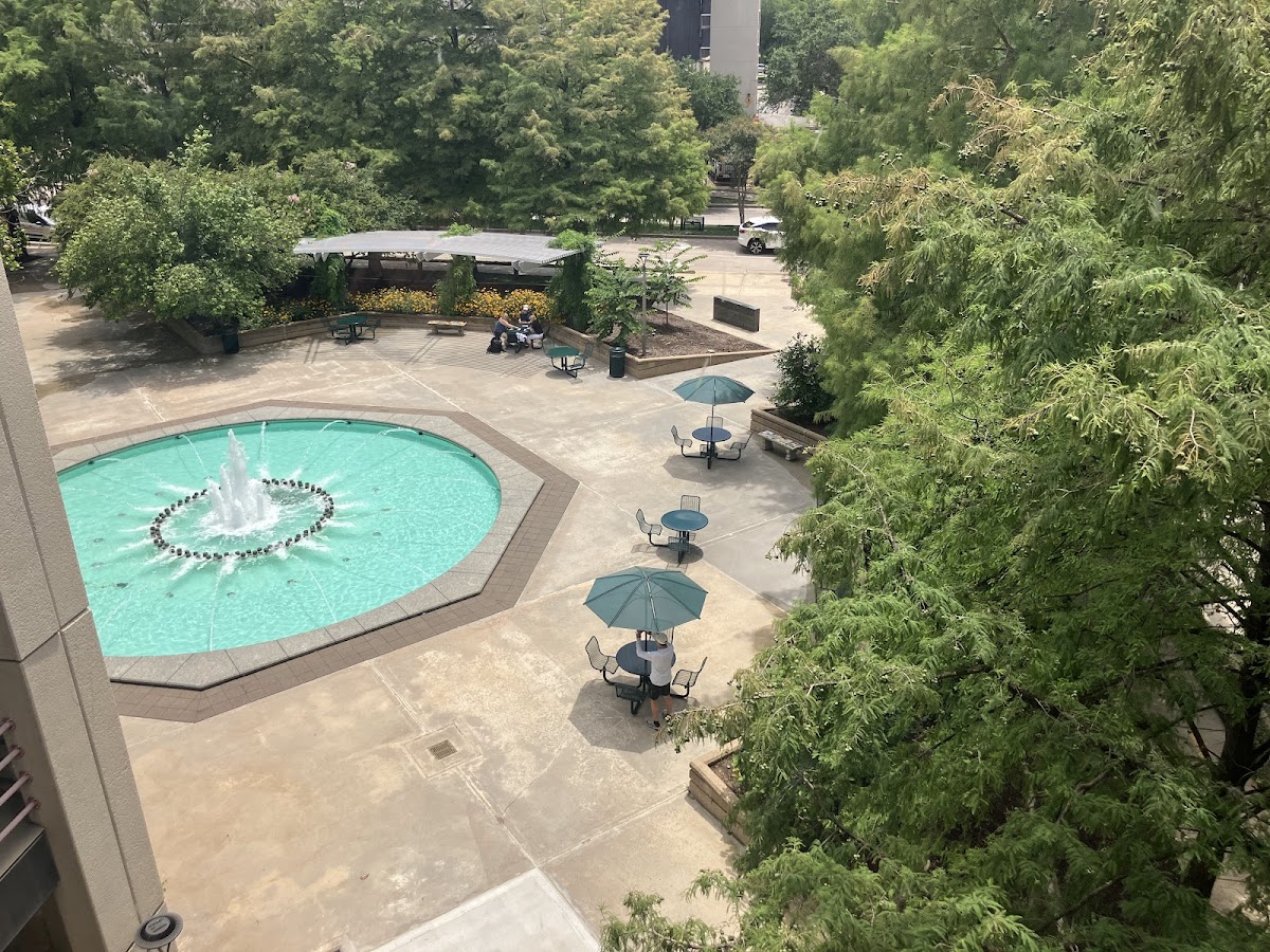 Rotary House Hotel — photo 4