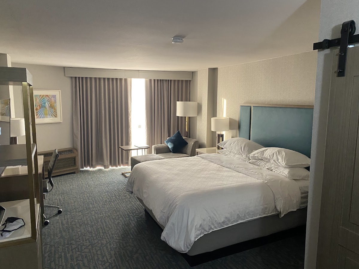 Sheraton Dallas Hotel by the Galleria — photo 3