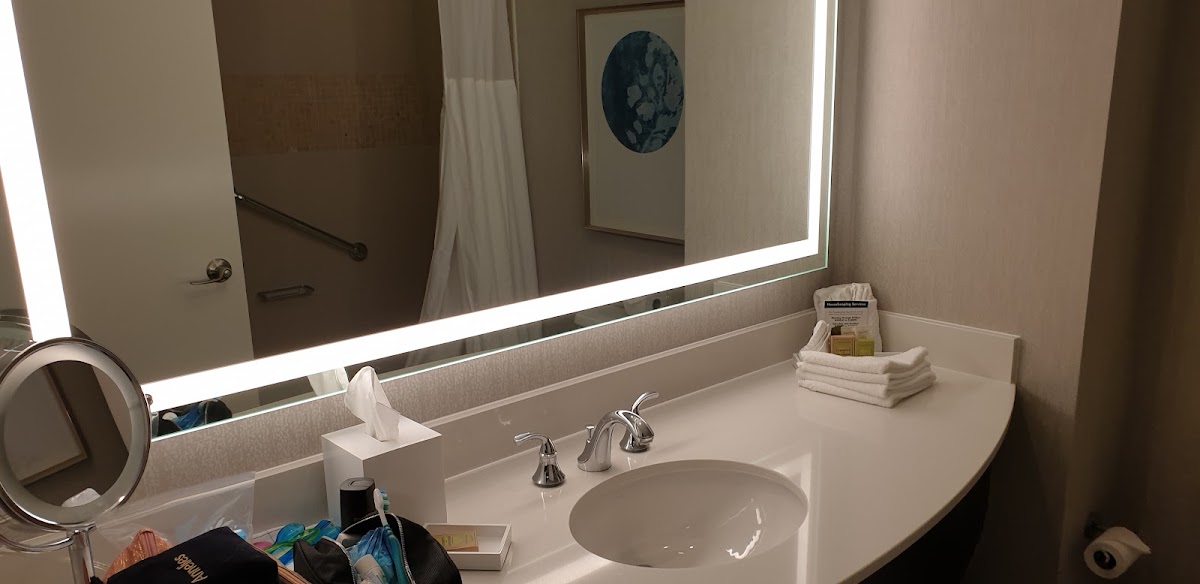 Signia by Hilton Orlando - An Official Walt Disney World Hotel — photo 5