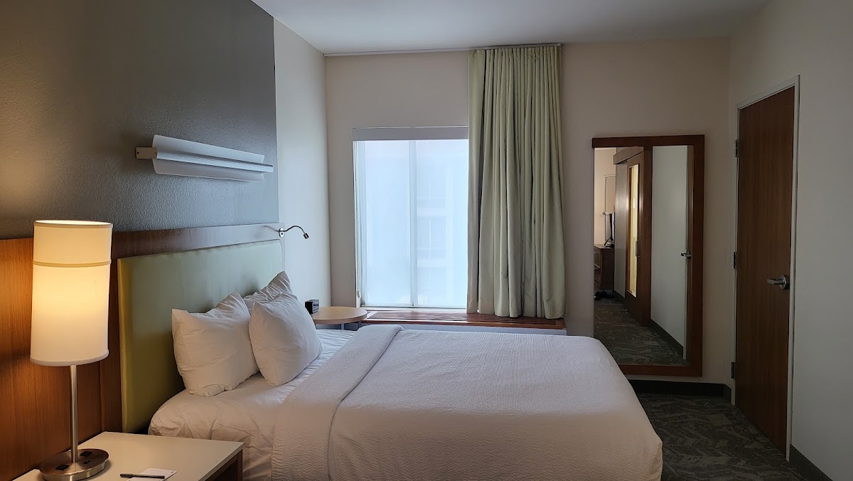 SpringHill Suites by Marriott Corpus Christi — photo 3