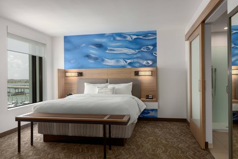 SpringHill Suites by Marriott Bradenton Downtown/Riverfront — photo 3