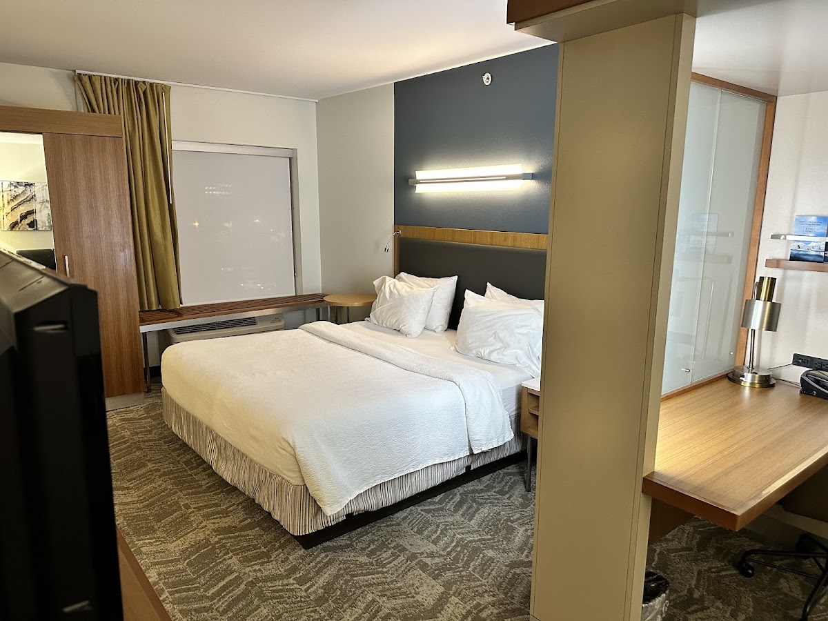 SpringHill Suites by Marriott Columbia Downtown/The Vista — photo 3