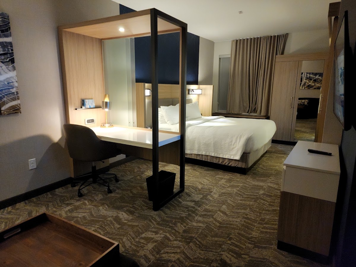 SpringHill Suites by Marriott Dallas Mansfield — photo 3