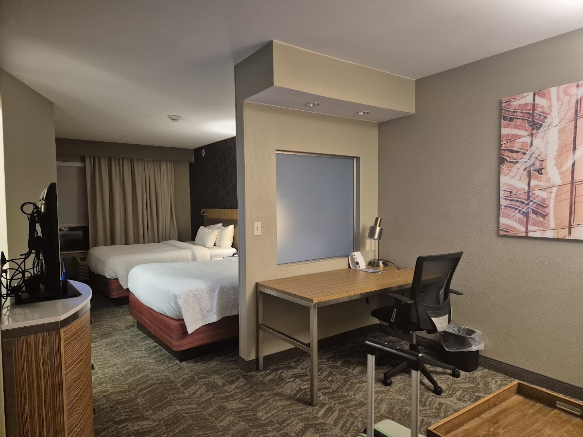 SpringHill Suites by Marriott St. Louis Airport/Earth City — photo 3
