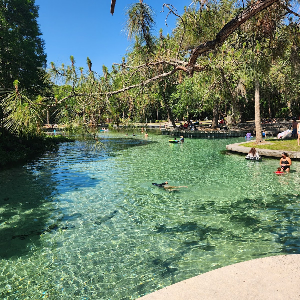 Kelly Park - Rock Springs — photo 4