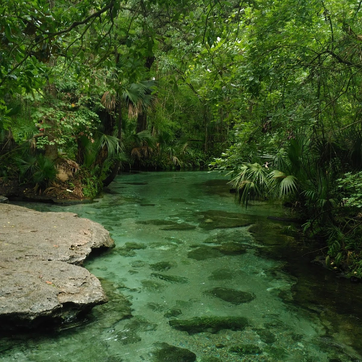 Kelly Park - Rock Springs — photo 5