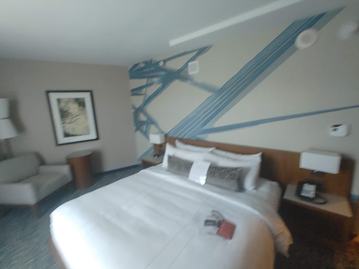 Ithaca Marriott Downtown on the Commons — photo 5