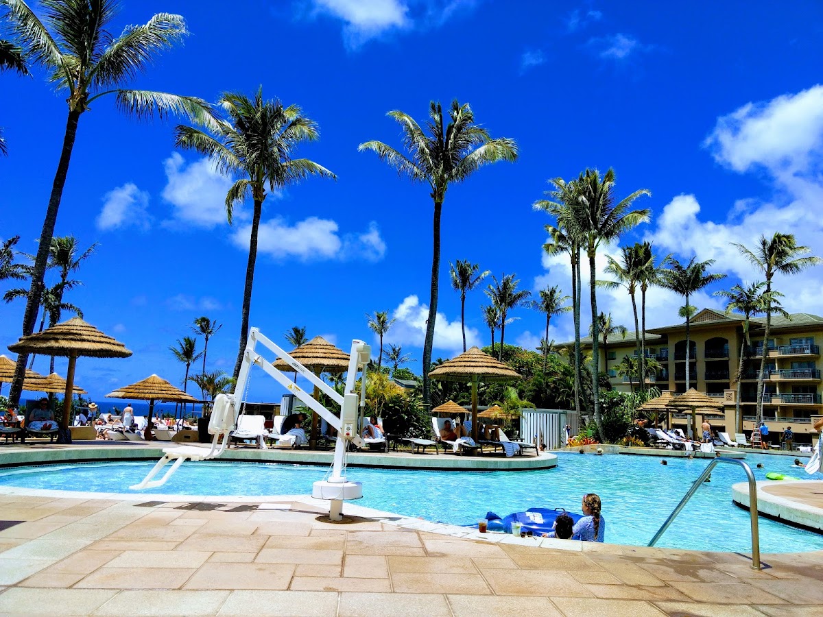 The Ritz-Carlton Maui, Kapalua — photo 4