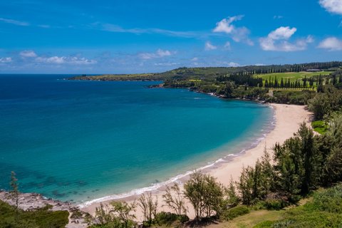 The Ritz-Carlton Maui, Kapalua — photo 5
