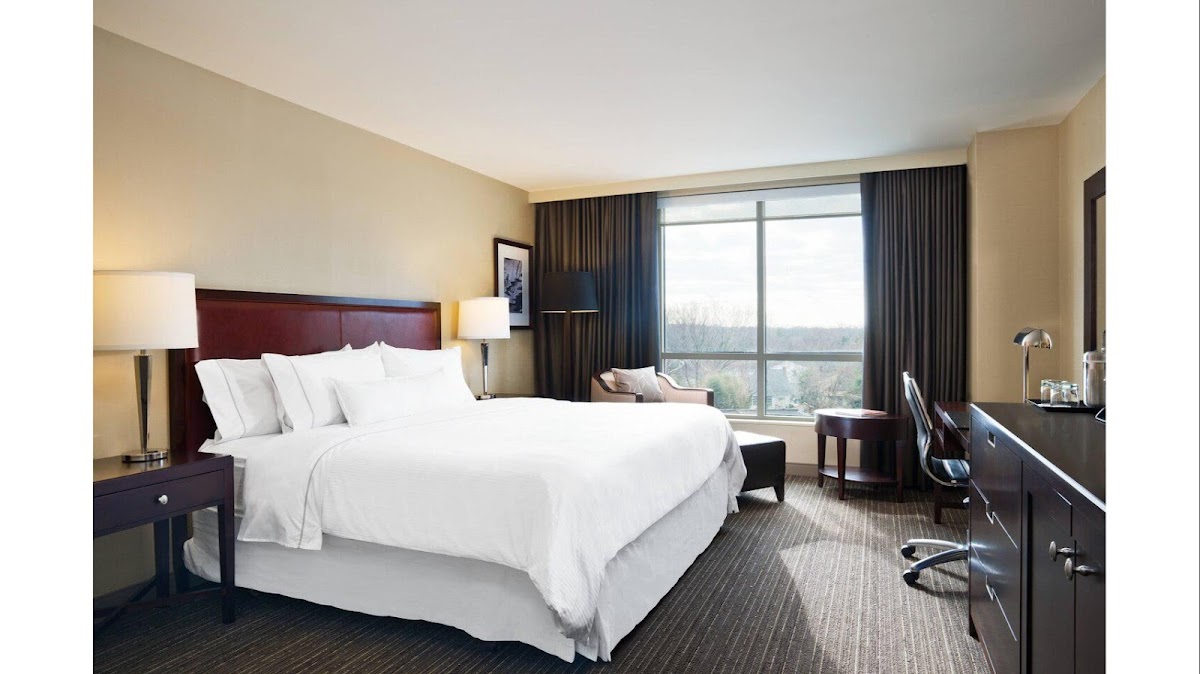 The Westin Annapolis — photo 3