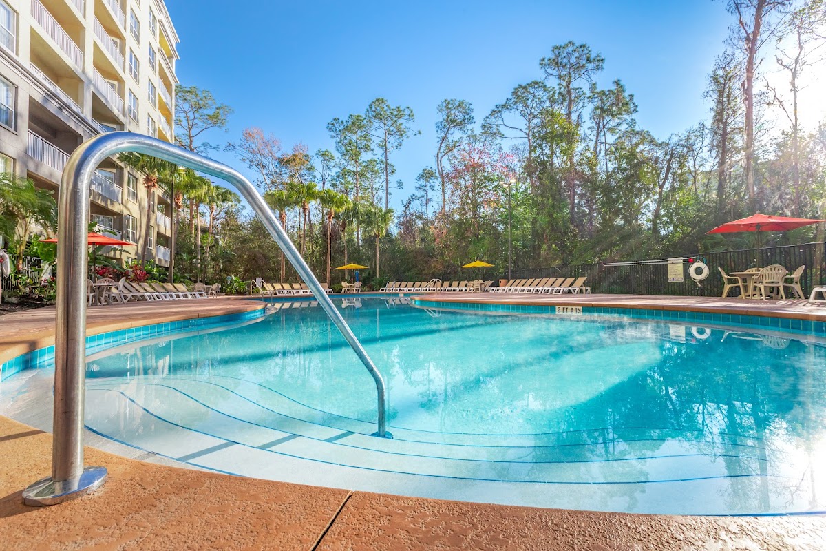 Vacation Village at Parkway — photo 4