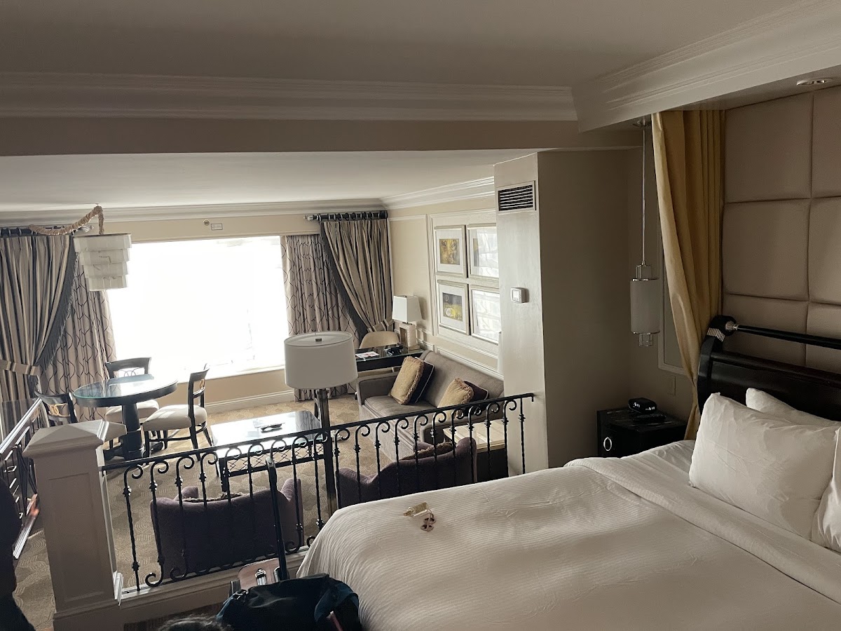 The Venetian Las Vegas — photo 3