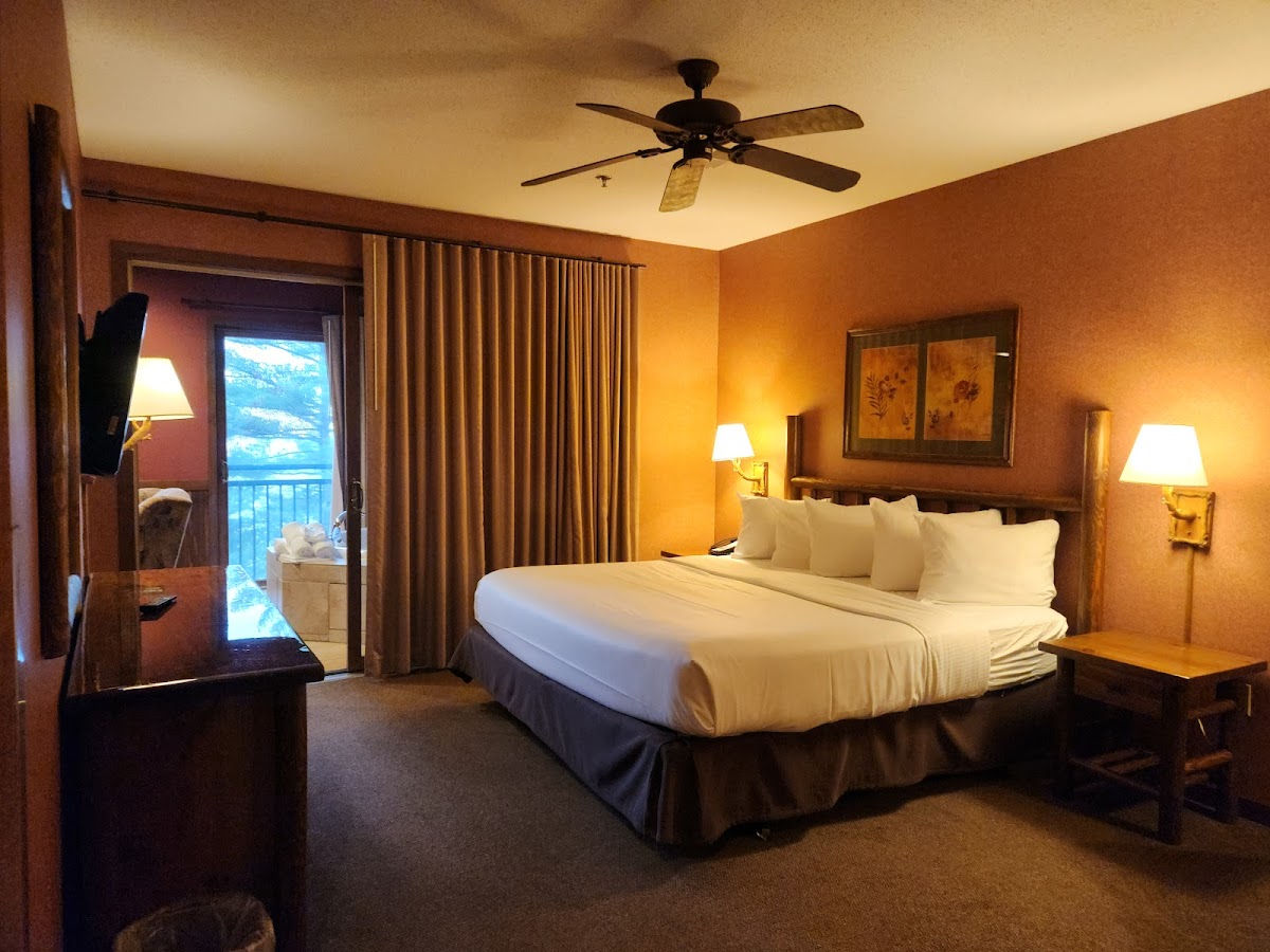 Wilderness Resort — photo 3